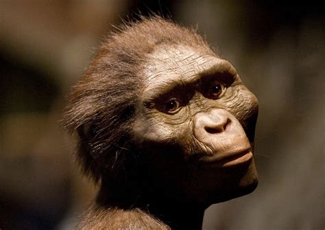 hairy nude teenagers|Ancient Hominin Lucy Wasn’t as Hairy as We Imagine .